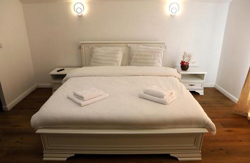 Poienile Izei House | Casa Carmen