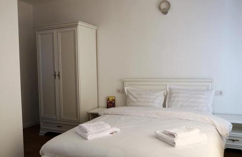 Poienile Izei House | Casa Carmen