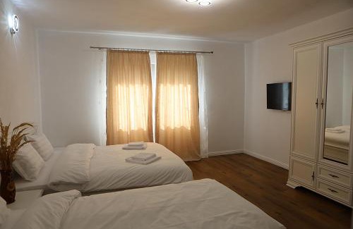 Poienile Izei House | Casa Carmen