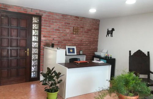 Teo House | Casa Carolina