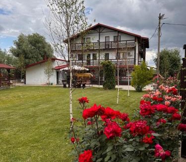 Calarasi House | Casa Carp Calarasi