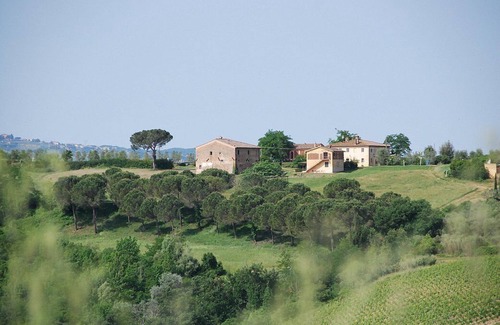 Castelfiorentino House | Casa Cassiodoro C: A welcoming apartment surrounded by meadows and by green hills, with Free WI-FI.
