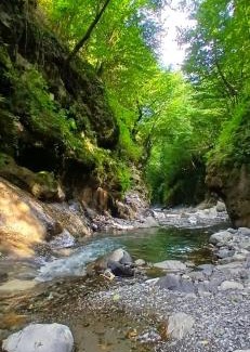 Pornassio House | Casa Castagno e Ruscello - Nature Retreat in Liguria