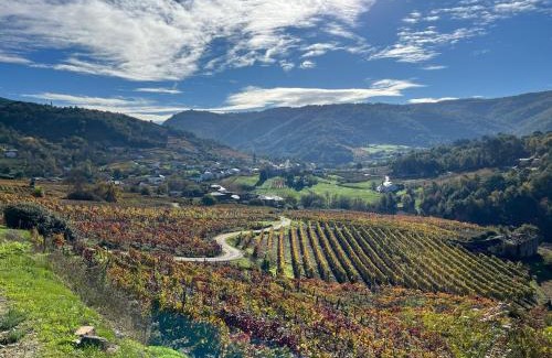 A Teixeira House | Casa Catalina - Ribeira Sacra