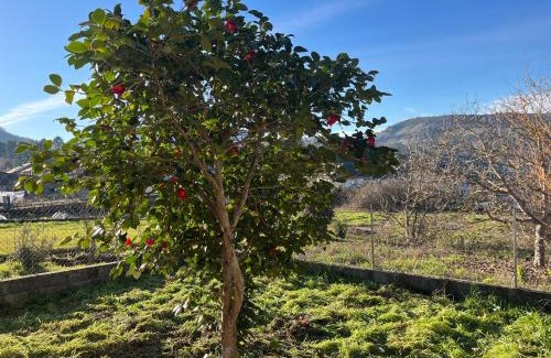 A Teixeira House | Casa Catalina - Ribeira Sacra