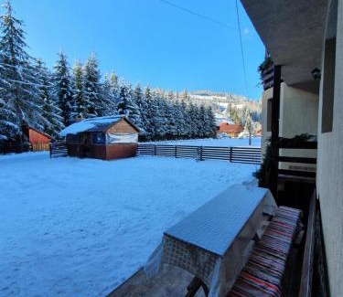 Arieseni Cabin | Casa Cerbu