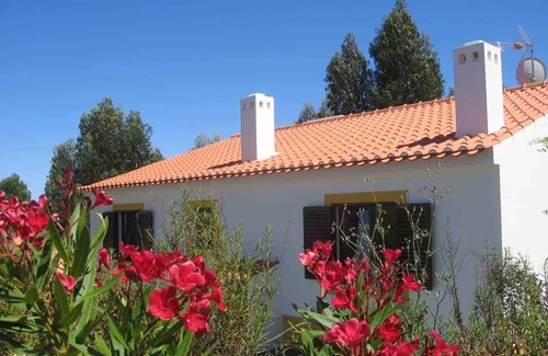 Santiago do Cacem House | Casa Cercal, located in nature