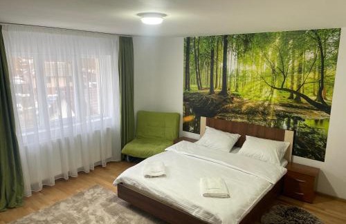 Cavnic House | Casa Ceteras