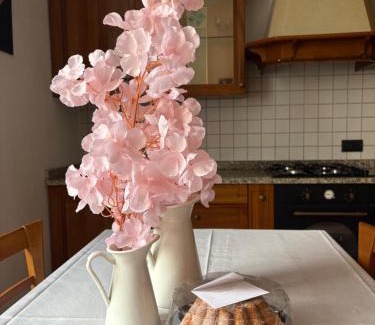 Mandello del Lario Apartment | Casa Chiara