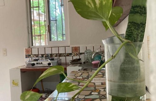 Santa Maria Tonameca Apartment | Casa Chontal