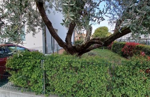 Marostica Bed & Breakfast | Casa Ciliegi 3