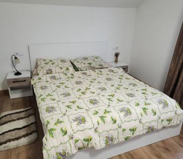 Sighetu Marmatiei Villa | Casa CLO