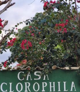 Vila Velha House | Casa Clorophila, suíte master completa com banheira, para 3 hóspedes