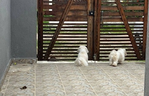 Tupy House | Casa com Piscina em Itanhaém