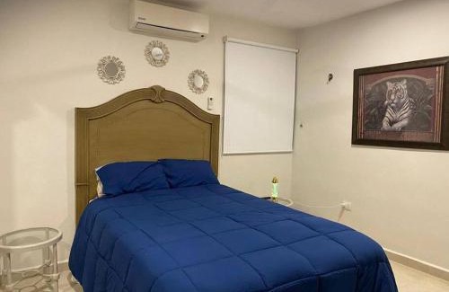 Merida Municipality House | Casa Colibrí