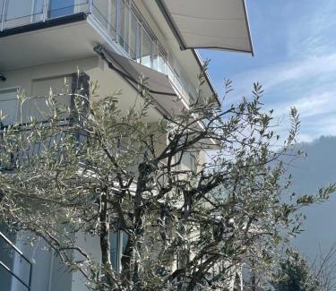 Colmegna Apartment | Casa Colmegna mit traumhaften See- und Bergblick