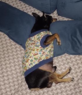 Prado House | Casa com piscina e espaço gourmet a 30m da praia!