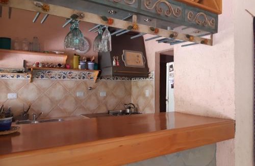 Maipu House | Casa con parque por los caminos del vino