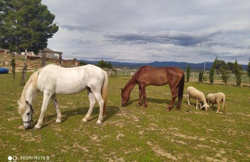 Mora d'Ebre Apartment | Casa con vistas, piscina y animales de granja, LA CASETA
