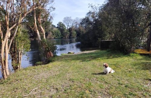 Puerto Varas House | Casa Conecta Sur