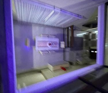 Campos House | Casa confraternização