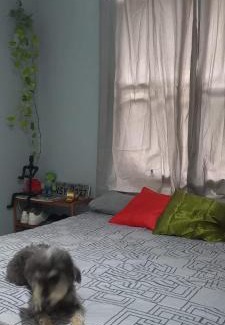 Jarderlandia Resort | Casa COP30