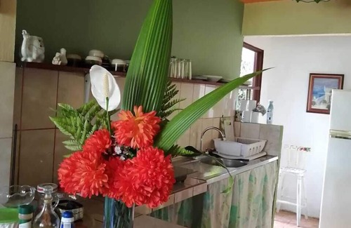 Monteverde House | Casa Copalchi