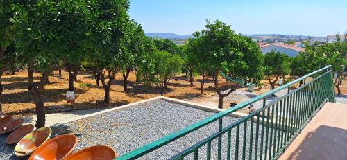 Vila de Frades House | Casa Cor do Vinho
