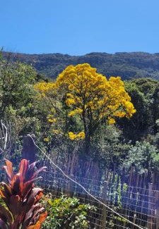 Tiradentes Apartment | Casa Cor Tiradentes