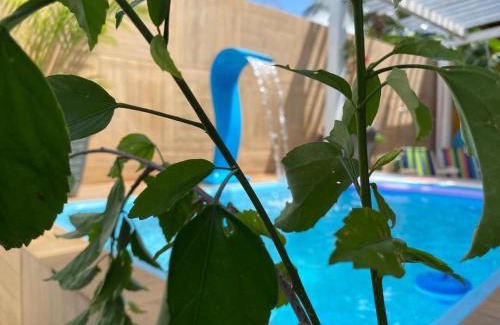 Pipa House | Casa Cores Pipa