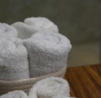 Monteverde Hotel | Casa Coyota Hotel