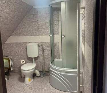 Sapinta House | Casa Crisan