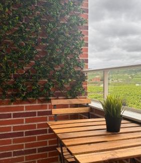 Cenicero Apartment | Casa Cristina - Rioja II