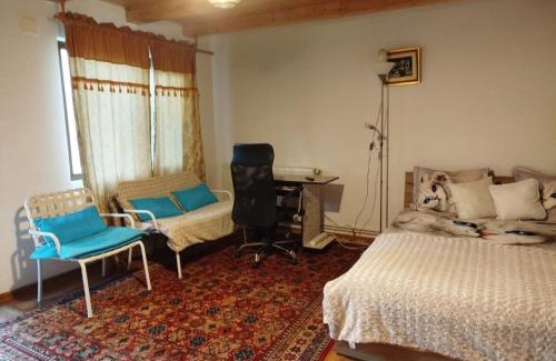 Bacau Ski Chalet | Casa cu amintiri