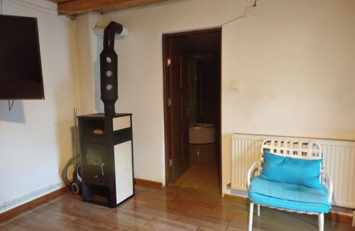 Bacau Ski Chalet | Casa cu amintiri