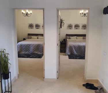 Pantelimon House | Casa cu flori