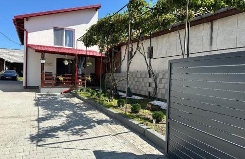 Vale House | Casa Cu Vie