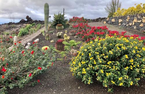 Las Manchas House | Casa Cueva de las Palomas 2