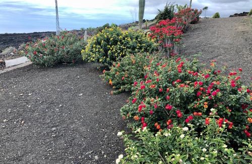 Las Manchas House | Casa Cueva de las Palomas 2