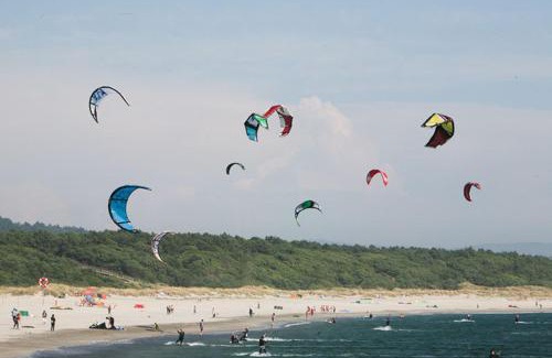 Afife House | Casa D' Joao Enes - Afife Residence