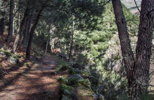 Unhais da Serra Bed & Breakfast | Casa da Almoinha