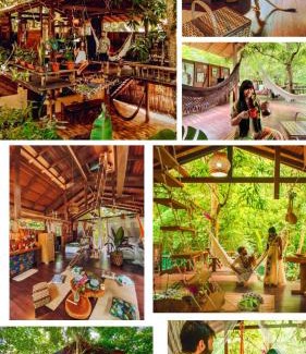 Alter do Chao Hotel | CASA DA ARVORE, sonho na Amazônia, 2min a pé da praia