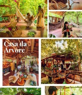 Alter do Chao Hotel | CASA DA ARVORE, sonho na Amazônia, 2min a pé da praia