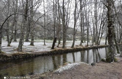Pero Viseu House | Casa da Avó Ana - Peroviseu - Serra da Gardunha - Serra da Estrela