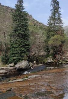 Arcos de Valdevez House | Casa Da Barroca