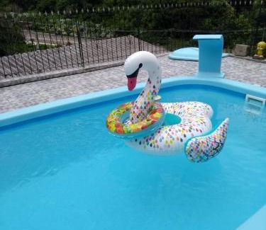 Tres Pinheiros House | Casa da bela Vista