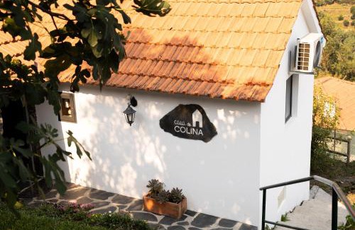 Vinho House | Casa da Colina
