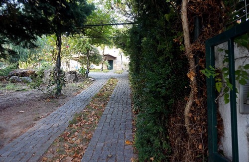 Santa Cruz do Douro House | Casa da Eira - Country House - Santa Cruz do Douro