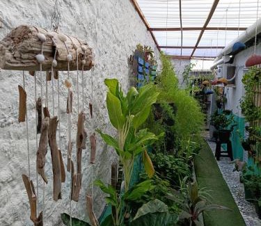 Amarante House | Casa da isy hospedagem
