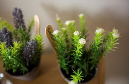 Arcos de Valdevez House | Casa da Lo